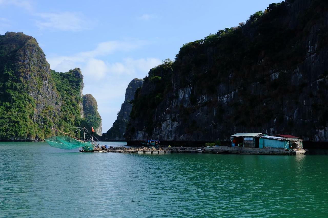 ホテル Cat Ba Bay Cruises Dong Khe Sau エクステリア 写真